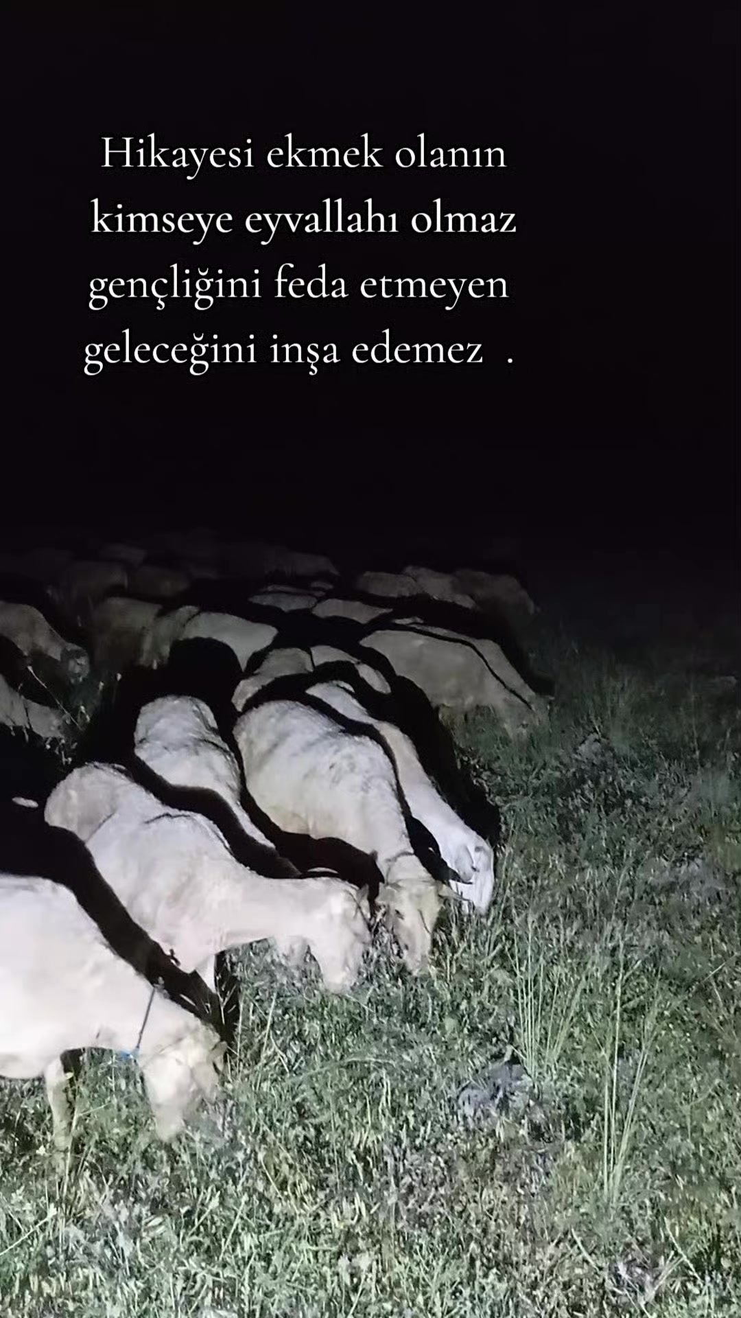 @Furkan STLMŞ 03