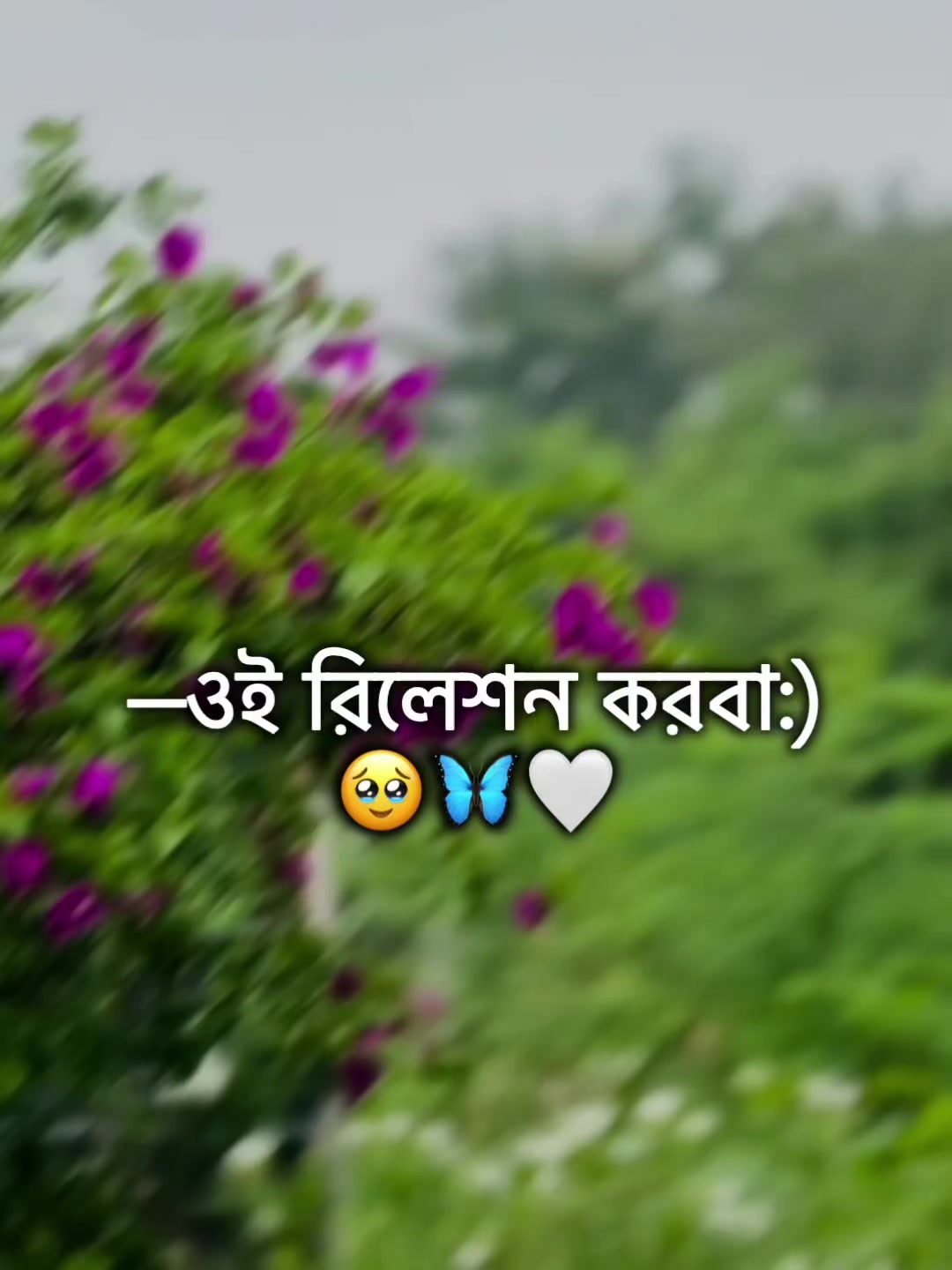 @🌚🐸>জাতির_বউ'মা<🐸🌚