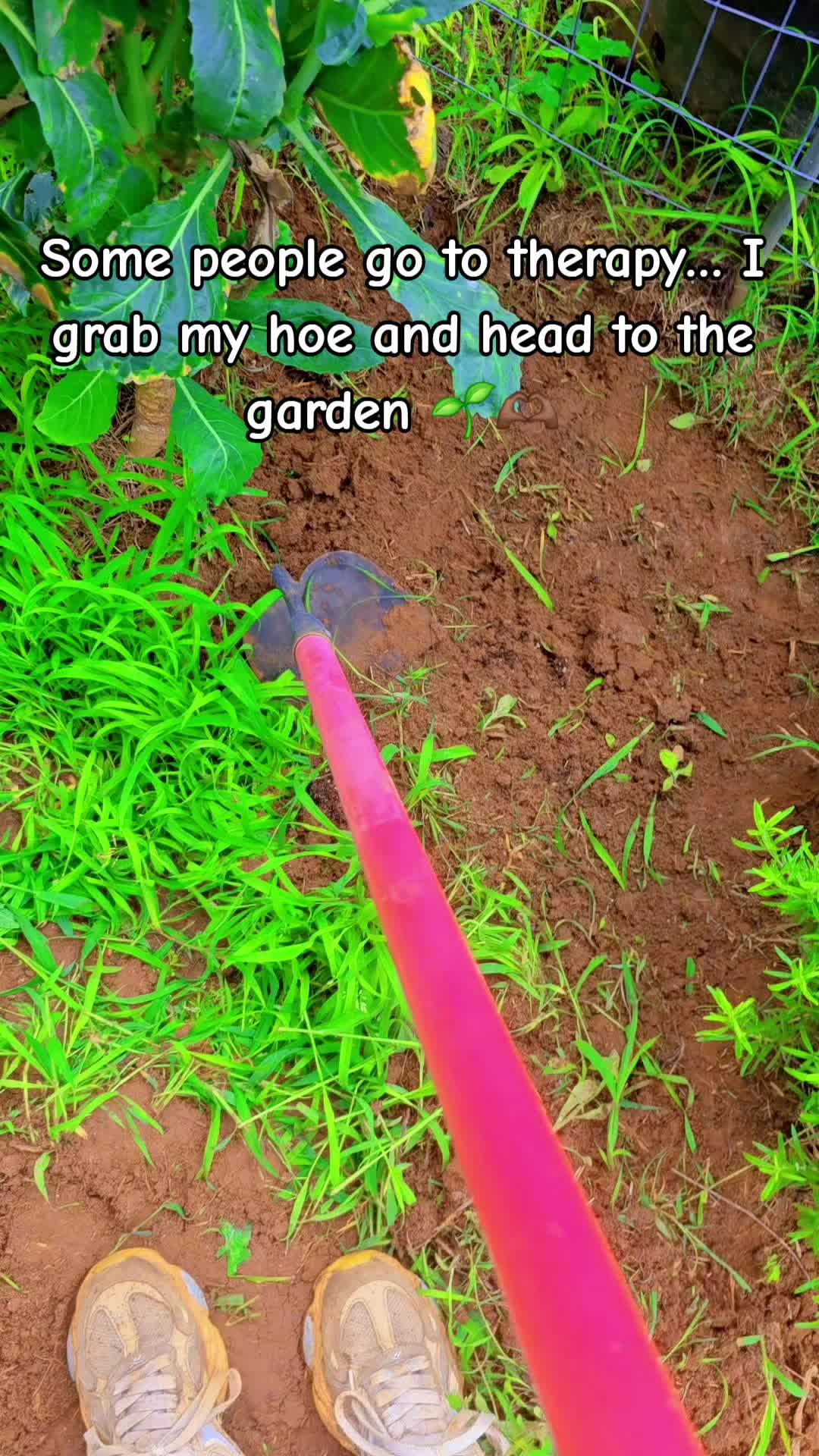 @Meakahomestead_00