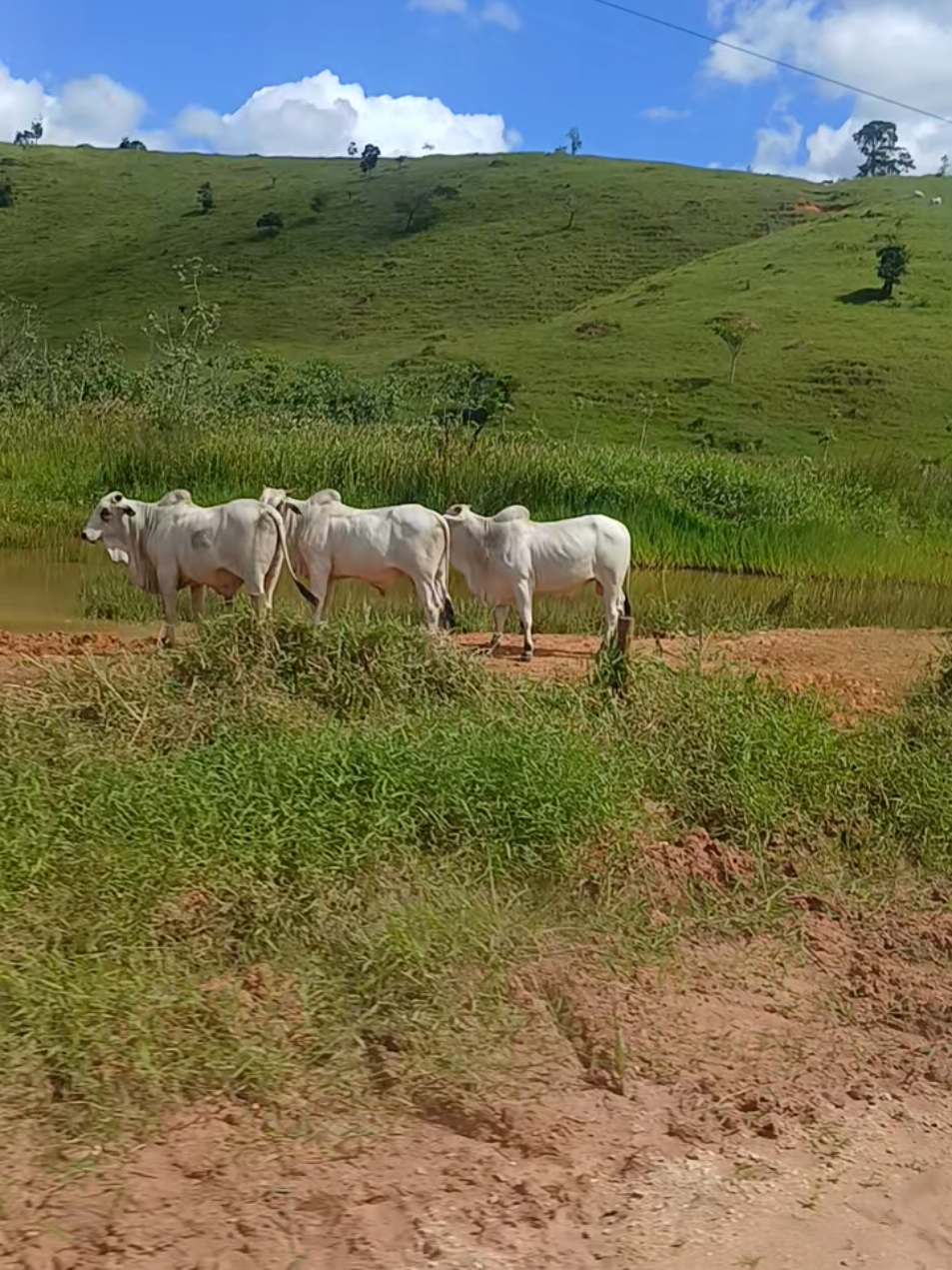 @Ageu Guimarães