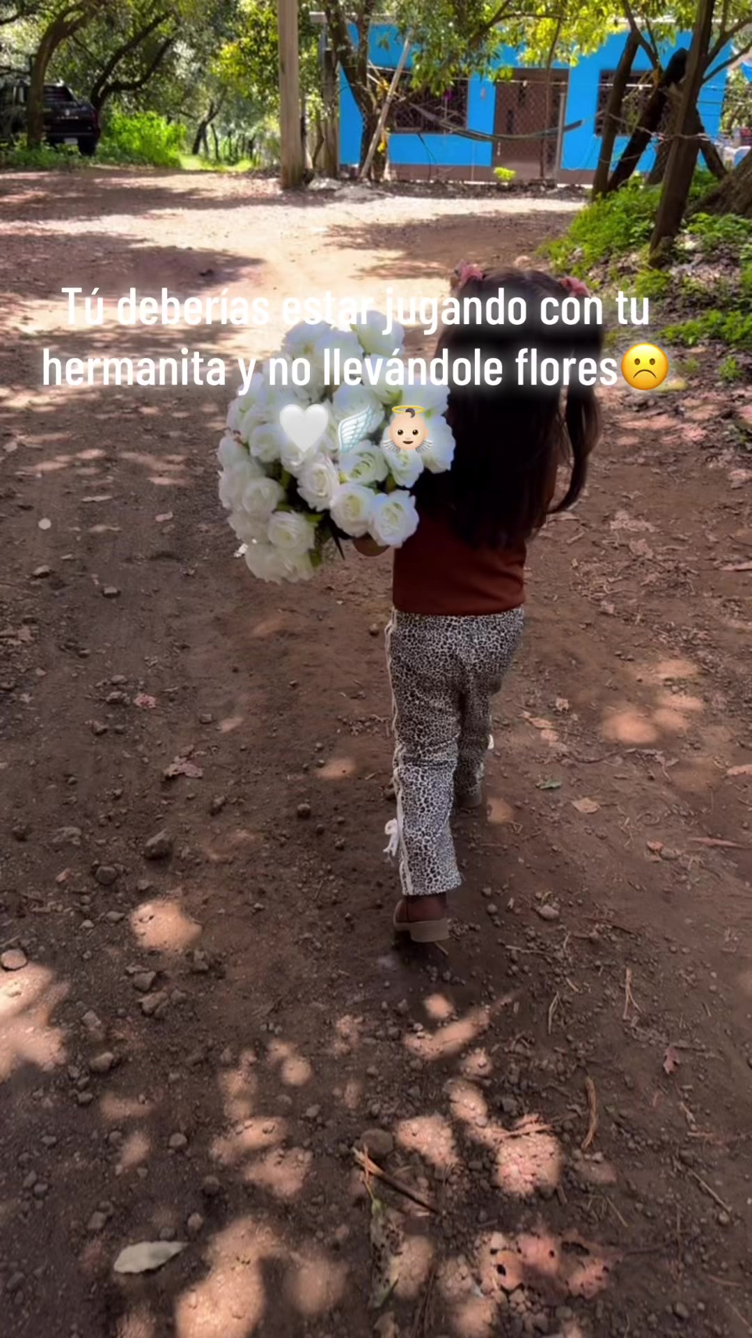 @laura.sanchez296