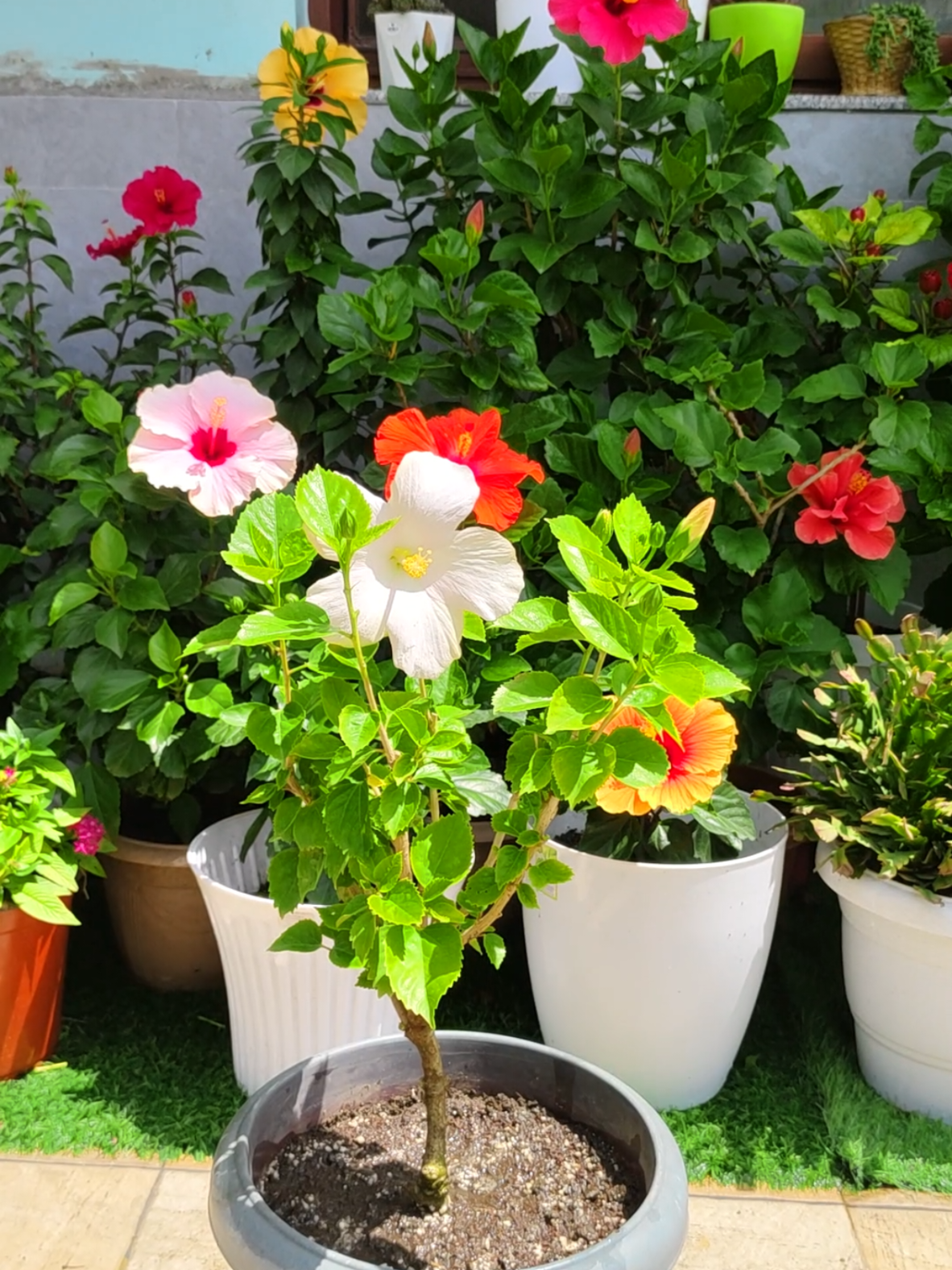 @poonam_shah 🧿🍀