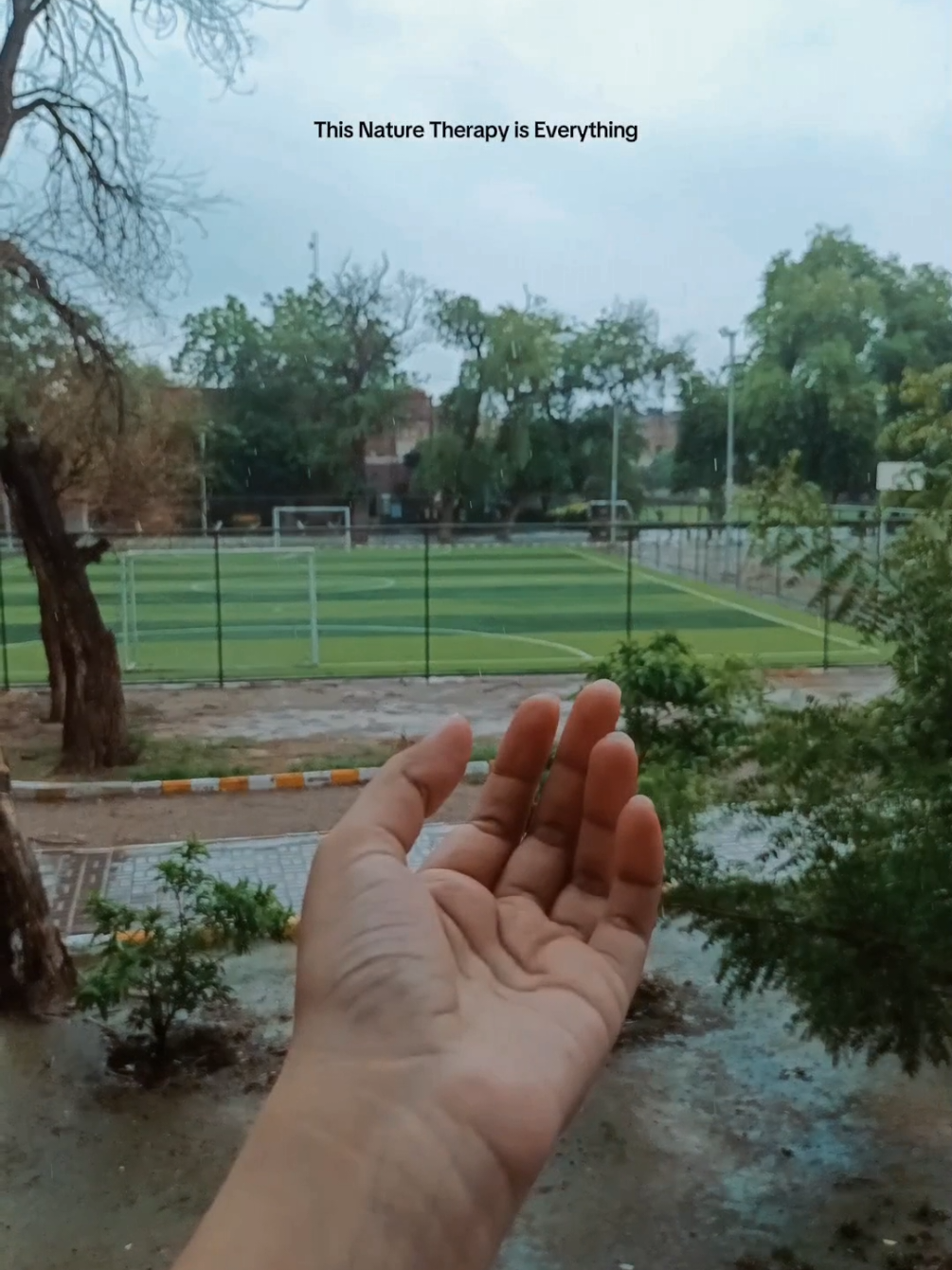 @Wajeeha Yaseen