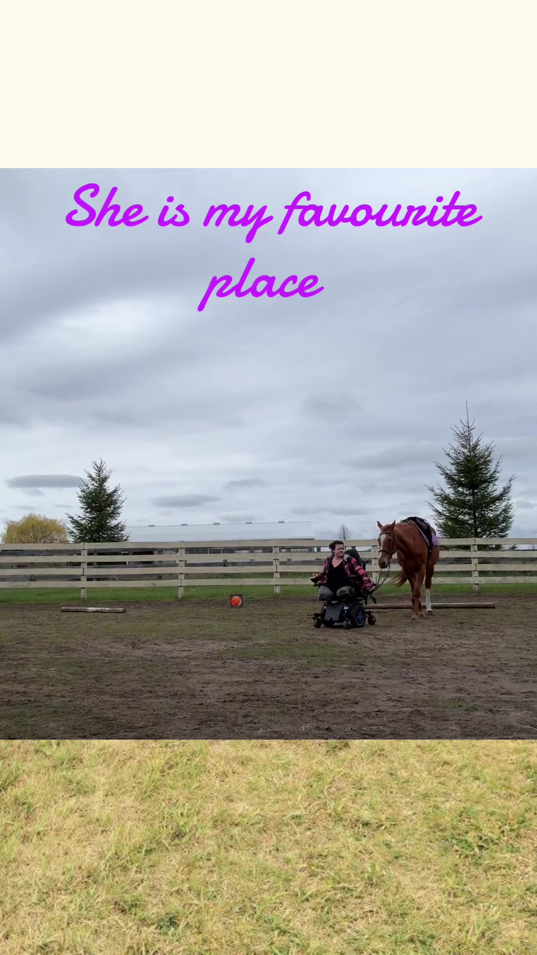 @Auntie Tannas Funny Farm