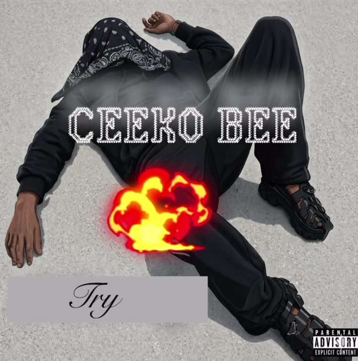 @Ceeko Bee