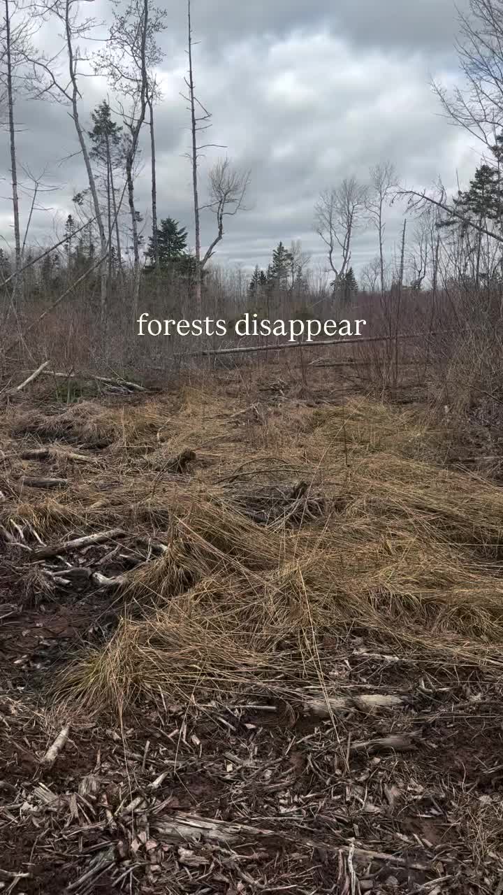 @Made with Local 🇨🇦🌱