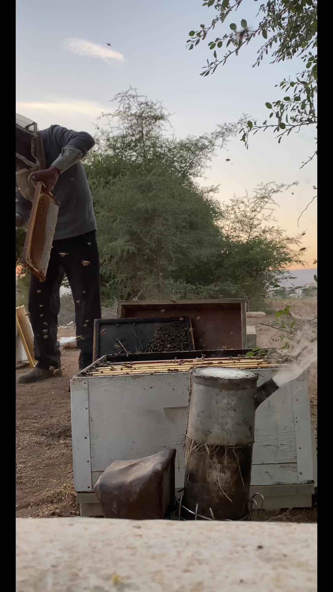 @مناحل عبد الرحمن للعسل