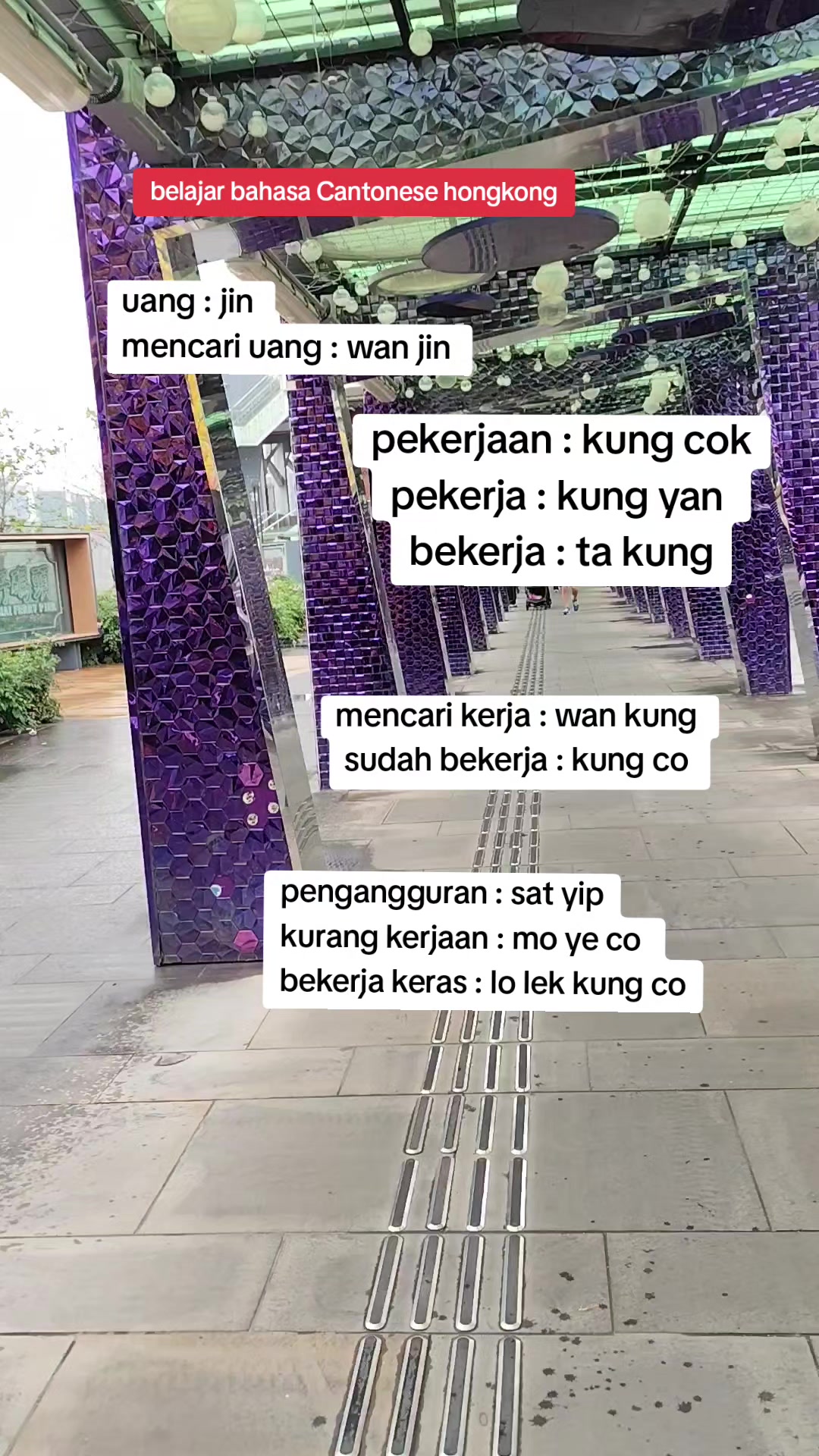 @YU PAH
