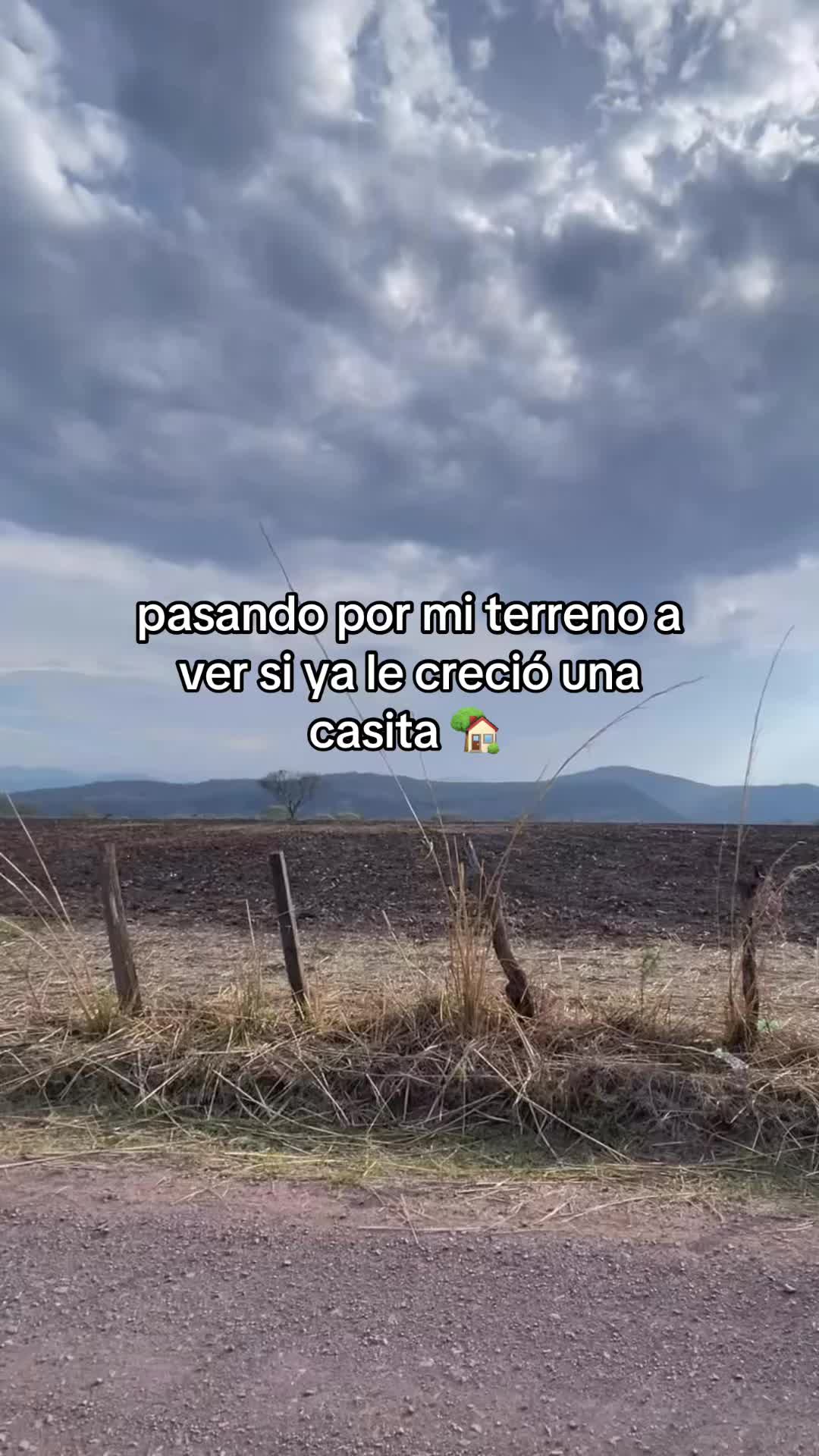 @Alondra