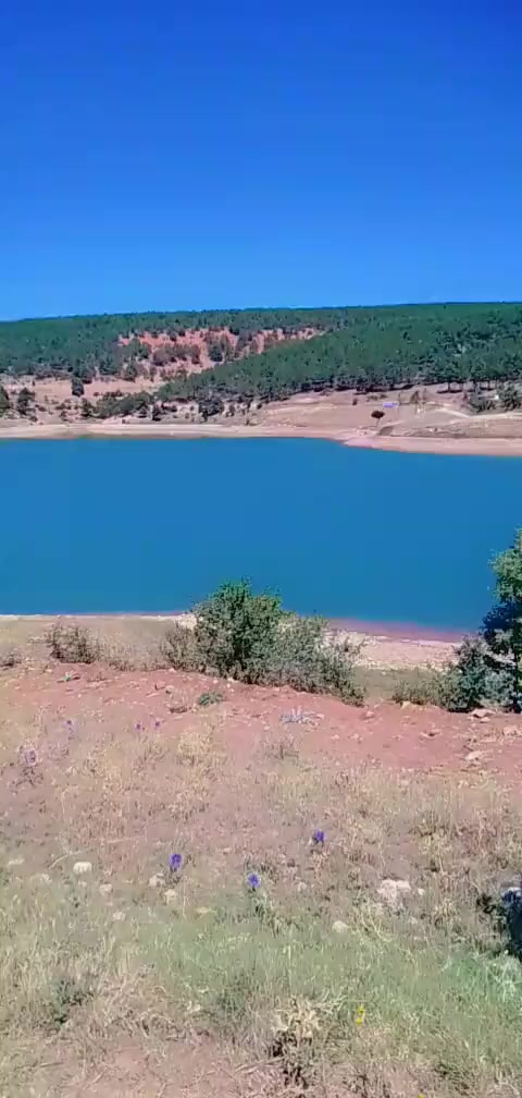 @🌼🌼NİHAL🌼🌼