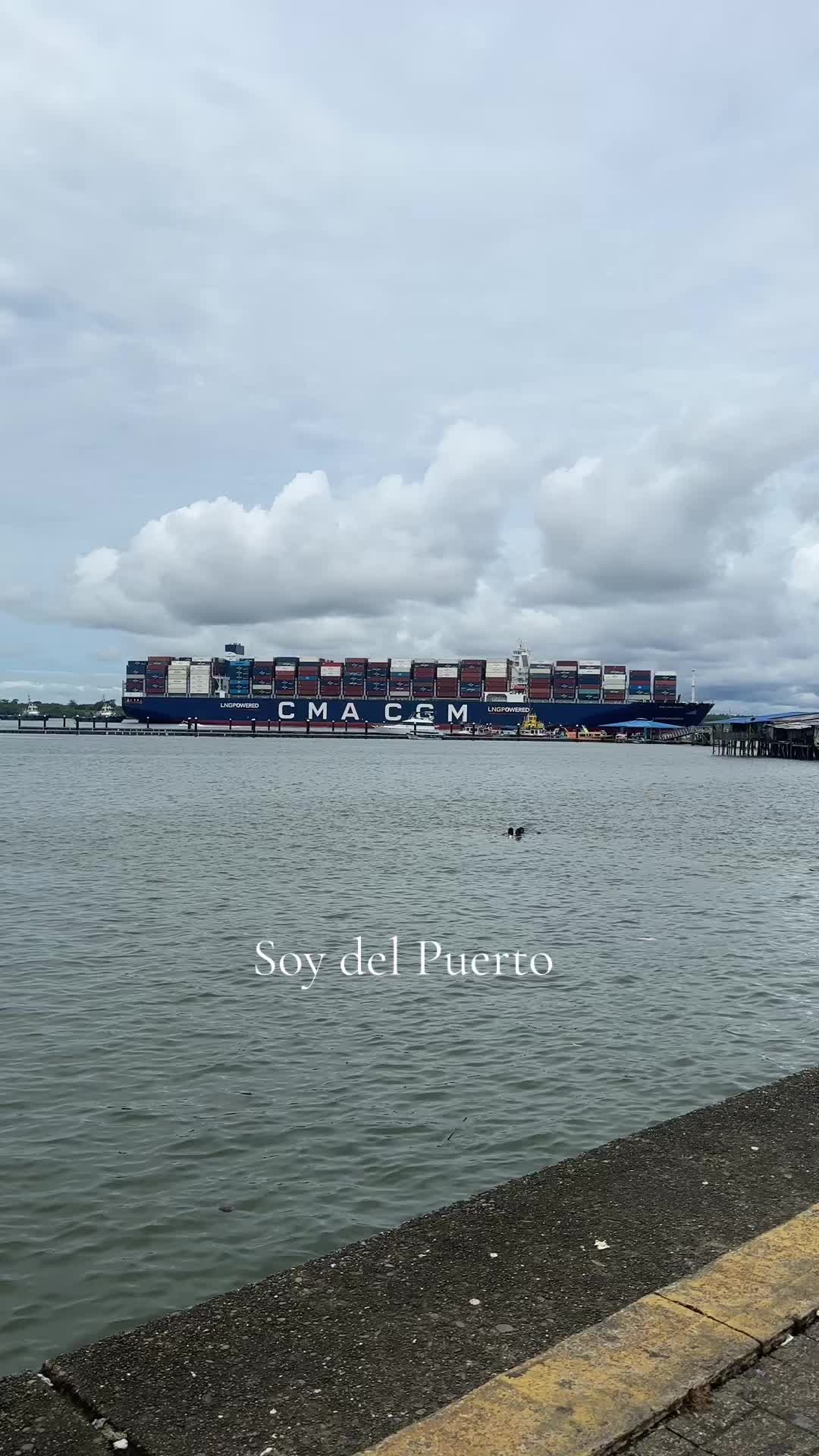 @Soy del Puerto 💛💚