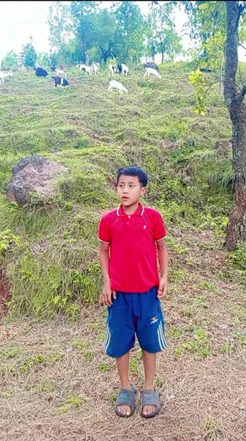 @Tulsi Darlami