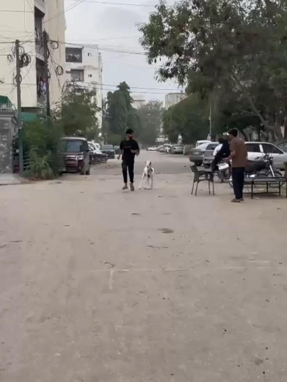 @Mohammad _ Khizram