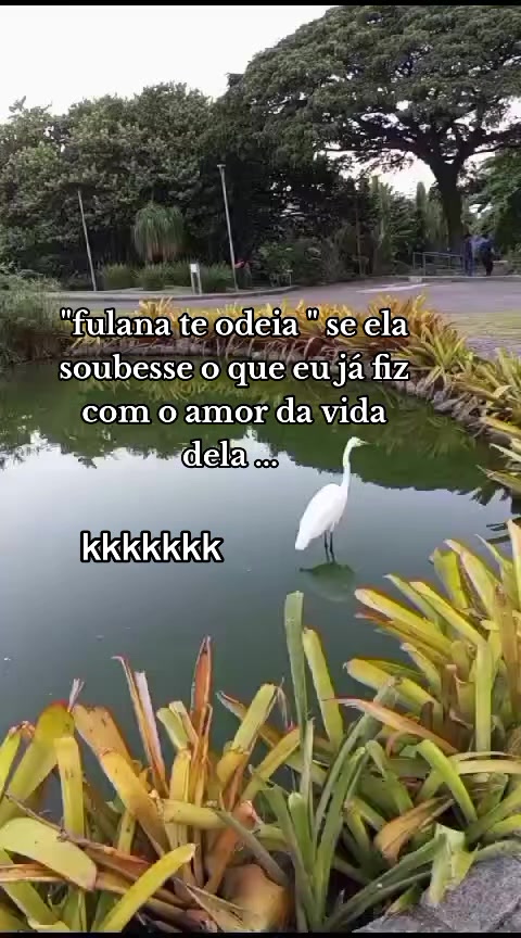 @C͚L͚ÉO͚ I͚N͚D͚I͚R͚E͚T͚A͚S͚