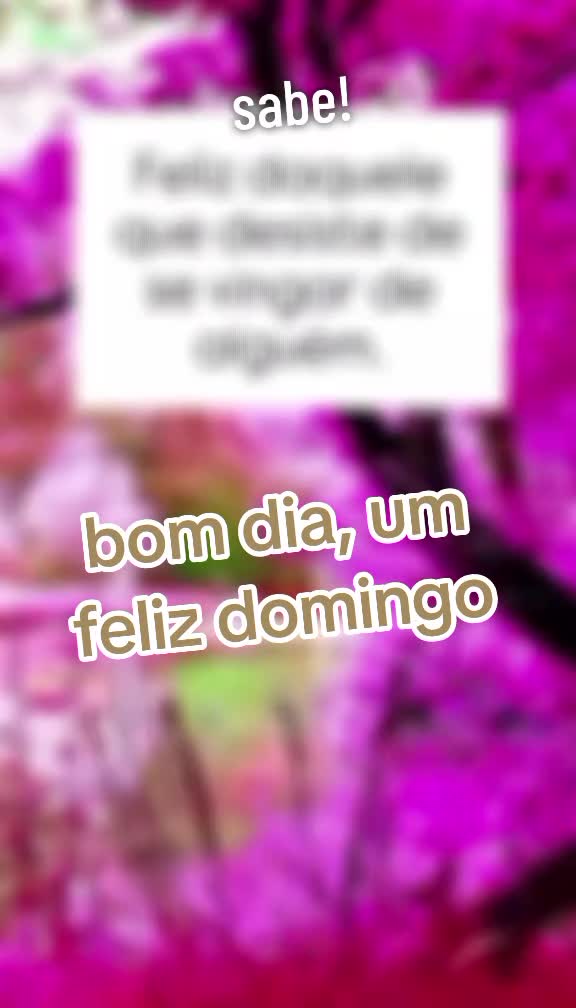 @ppeixotoveralucia@gm
