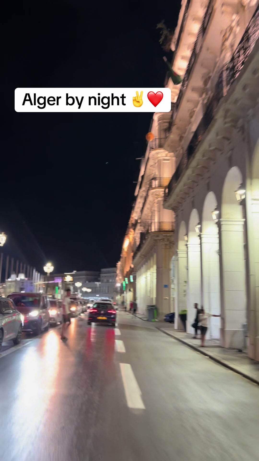 @عصابة كلاب الدوڨو&البيتبول🔥