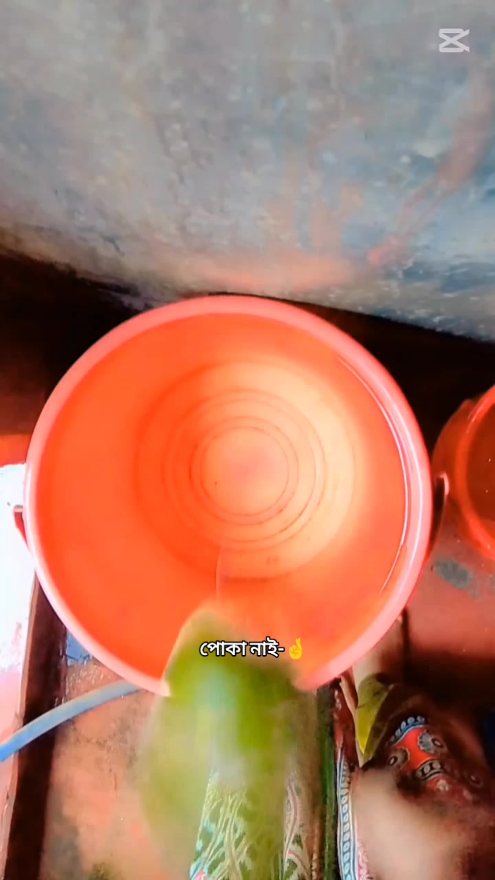 @𝐒𝐑╹𝐒ꪮɳi͒ყꫝ¬🦋