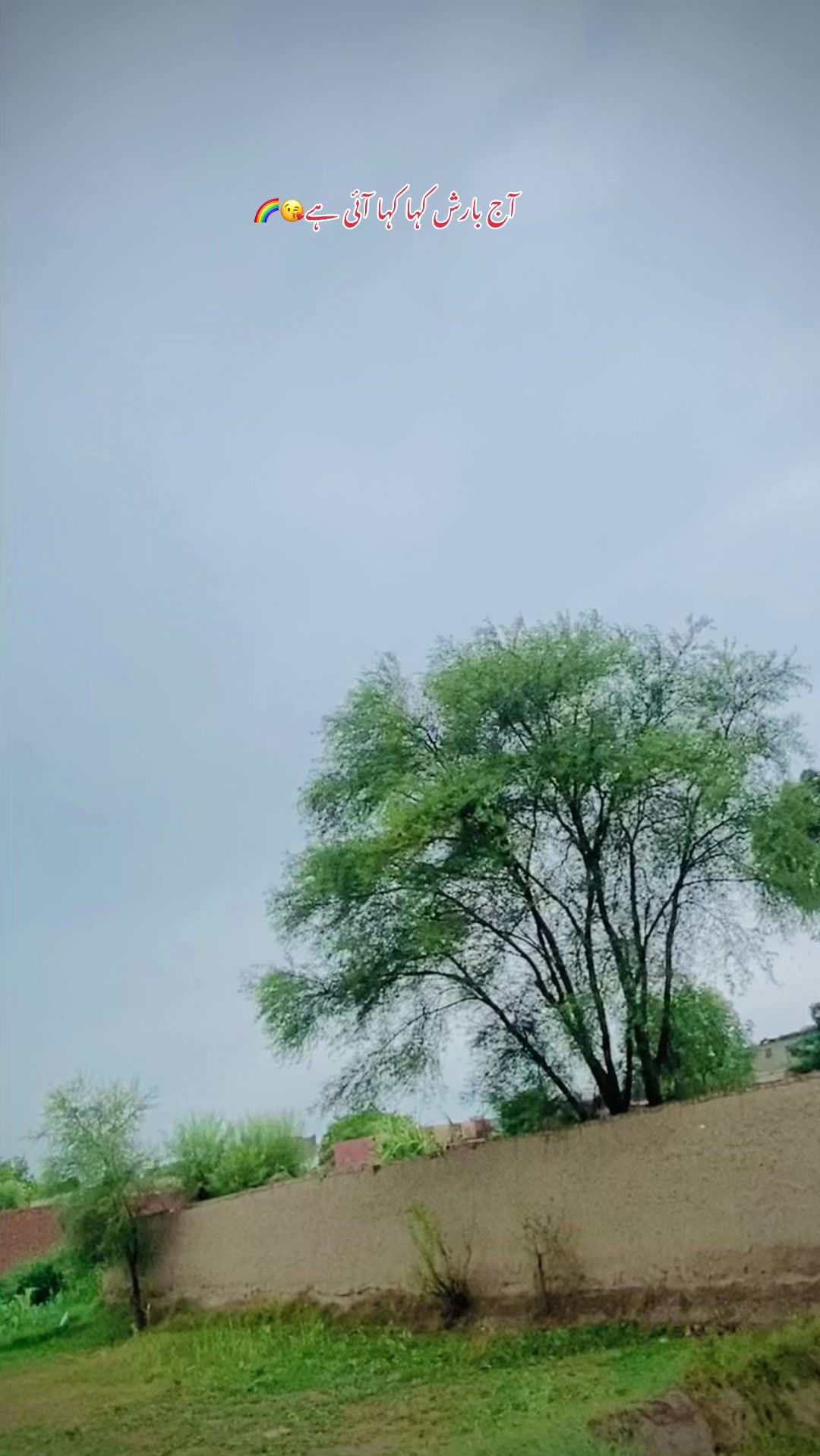 @🕊️🍂سوہنا_شہر خانیوال 🍂❤️🩹