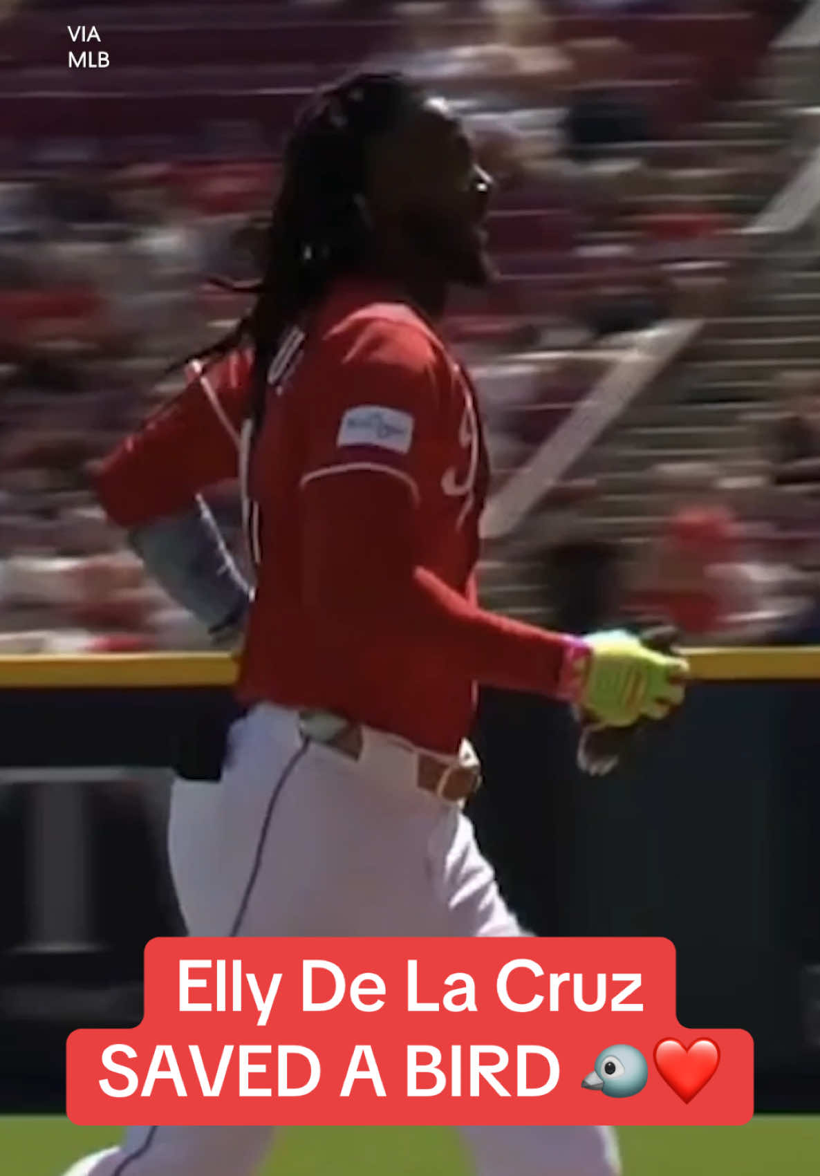 @Yahoo Sports