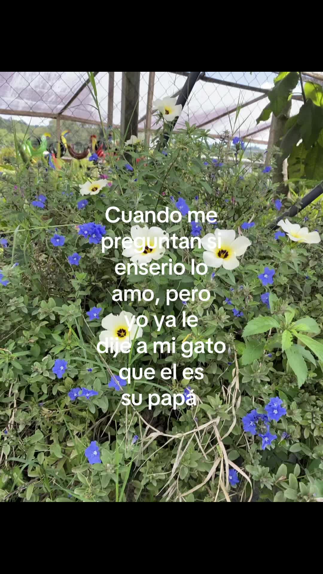@𐙚 ๋ 𝓐𝓻𝓲 𝜗𝜚 ⋆˚⟡‧