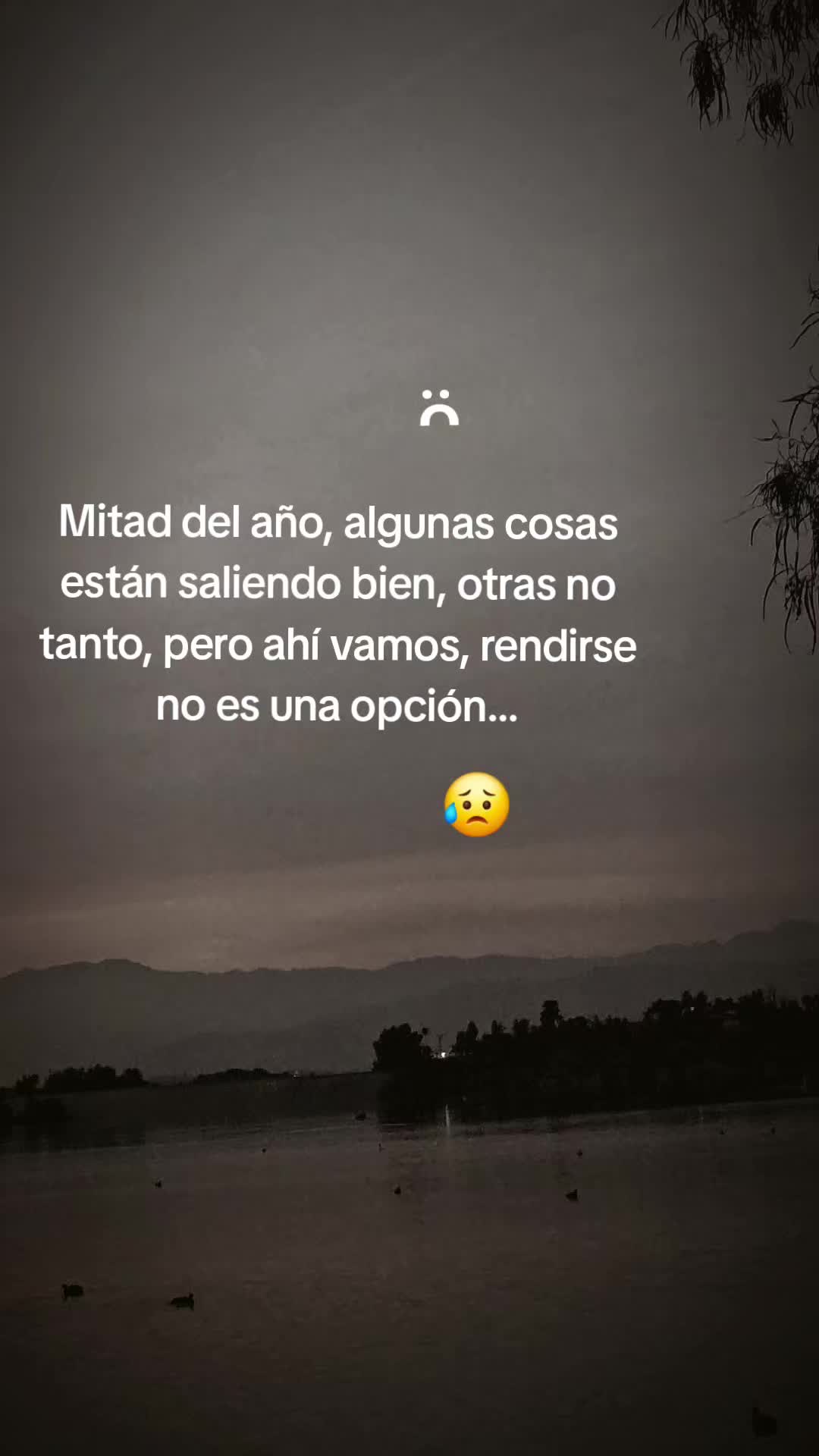 @damarishernandez649