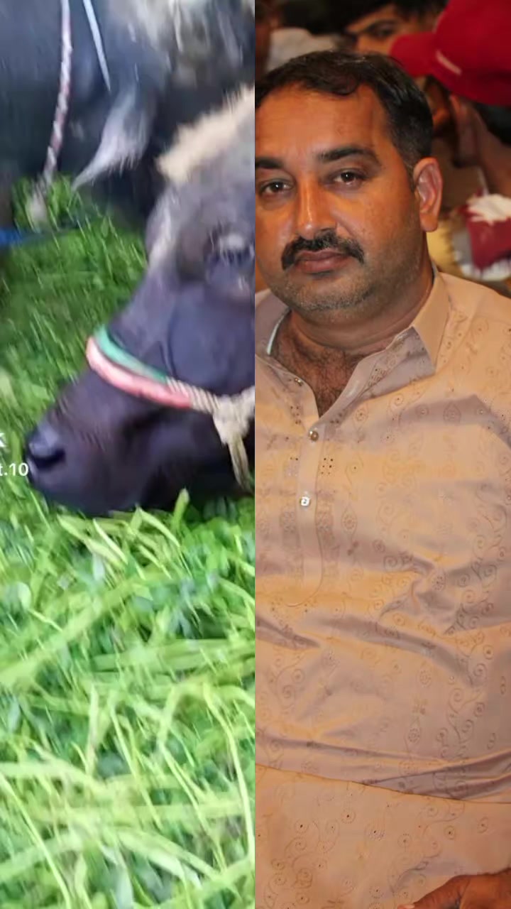 @Imran Ali