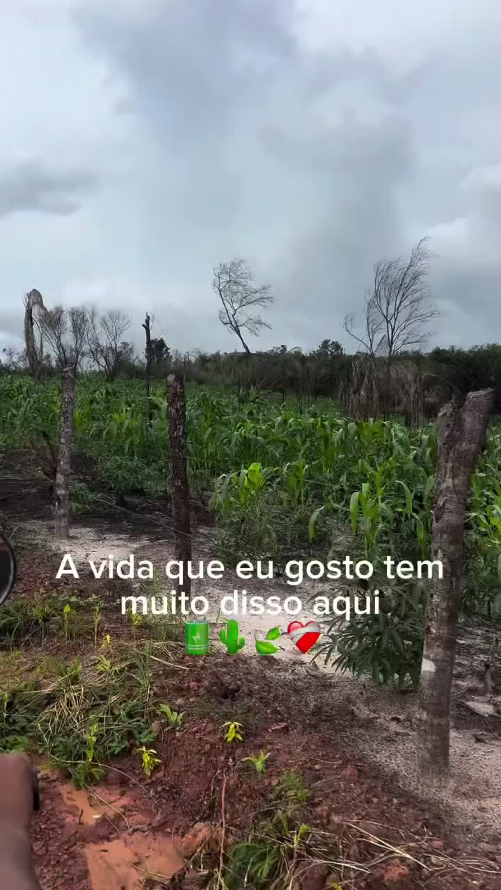 @eujheyson_ofc🇯🇲🇬🇳