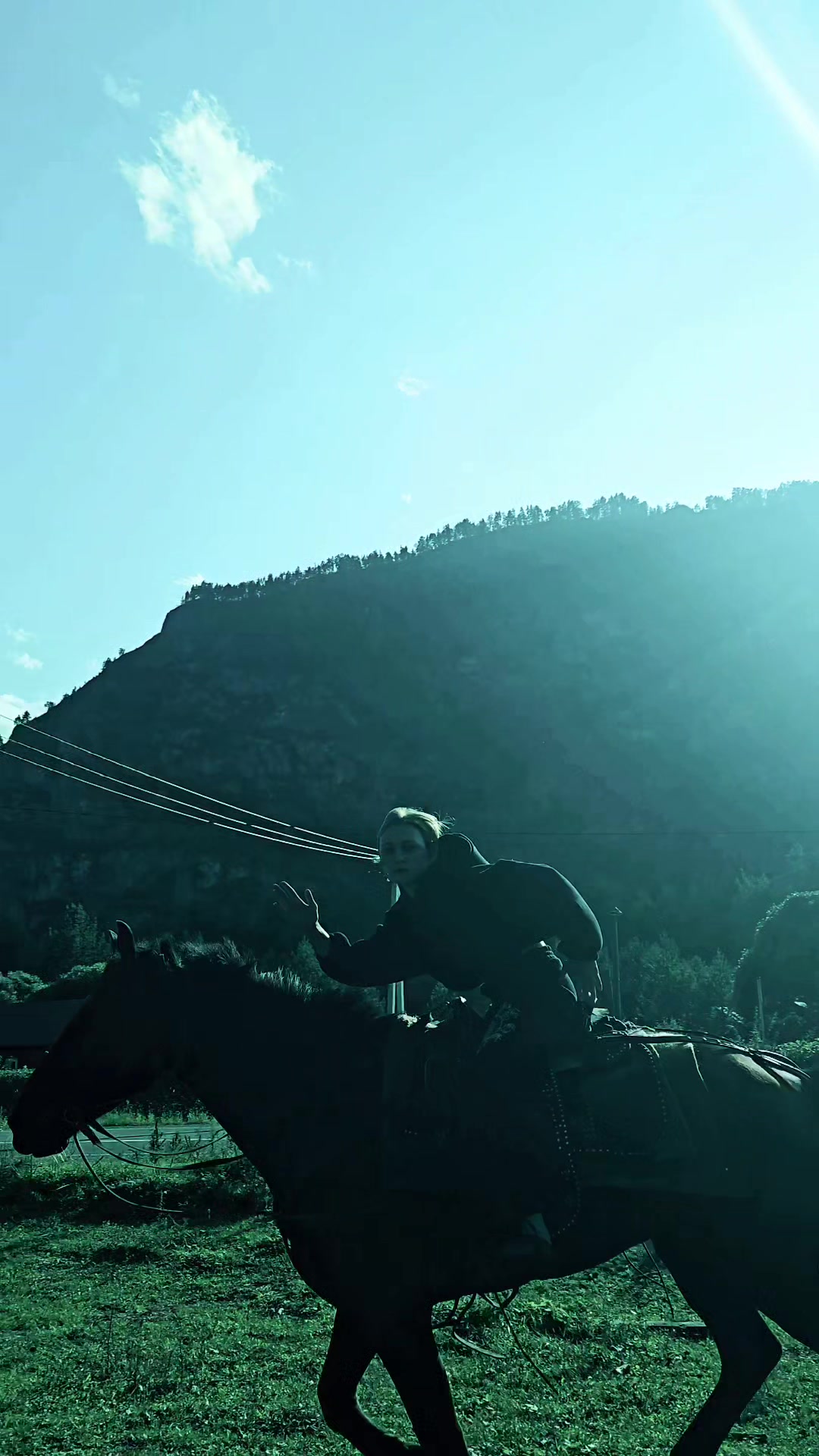 @tg: altaihorses