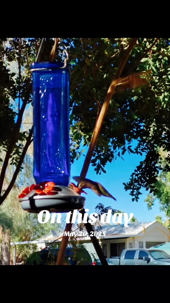 @Layne "Ripcurl" Griggs ๐๐โ๏ธ