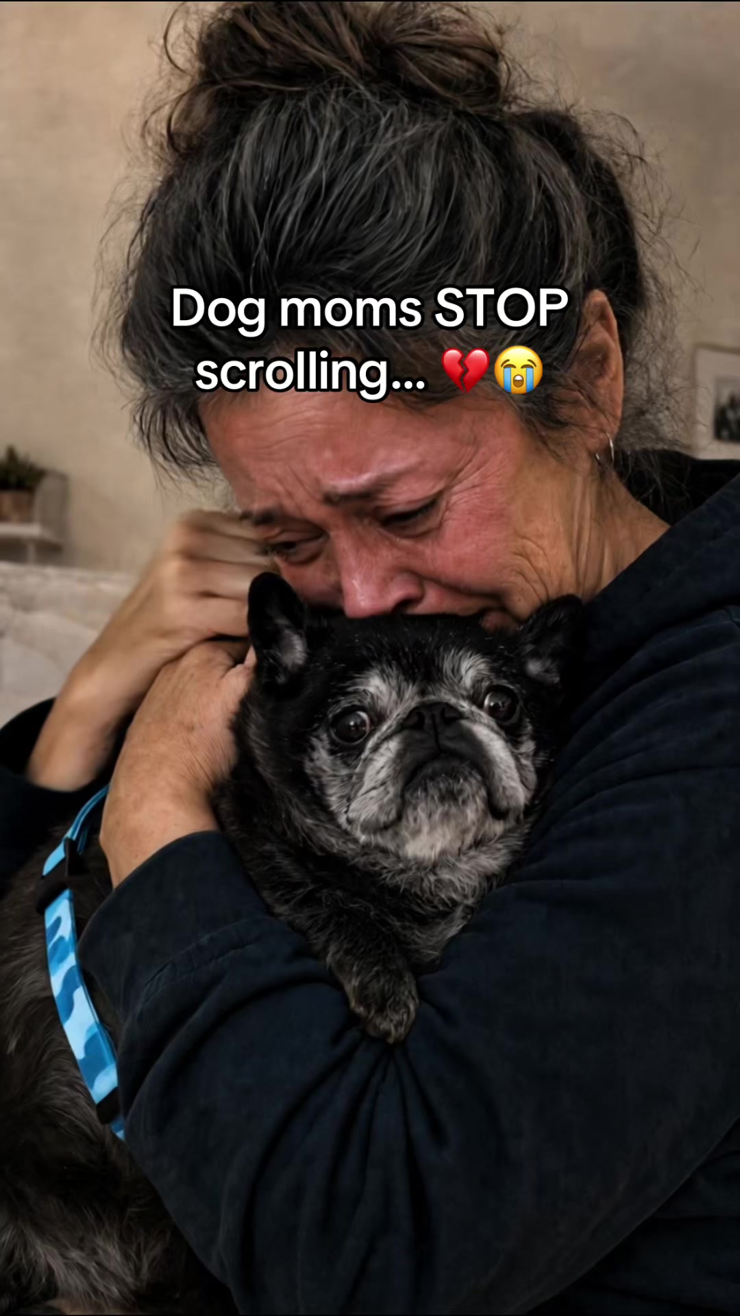 @SavlahPets