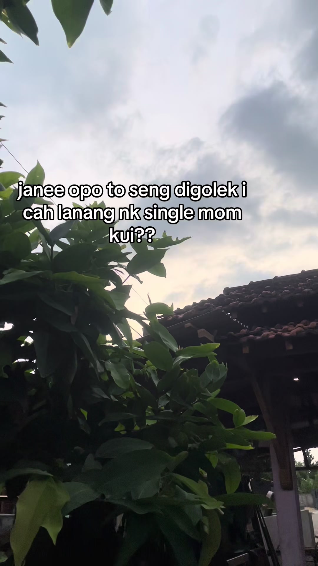 @yu pu