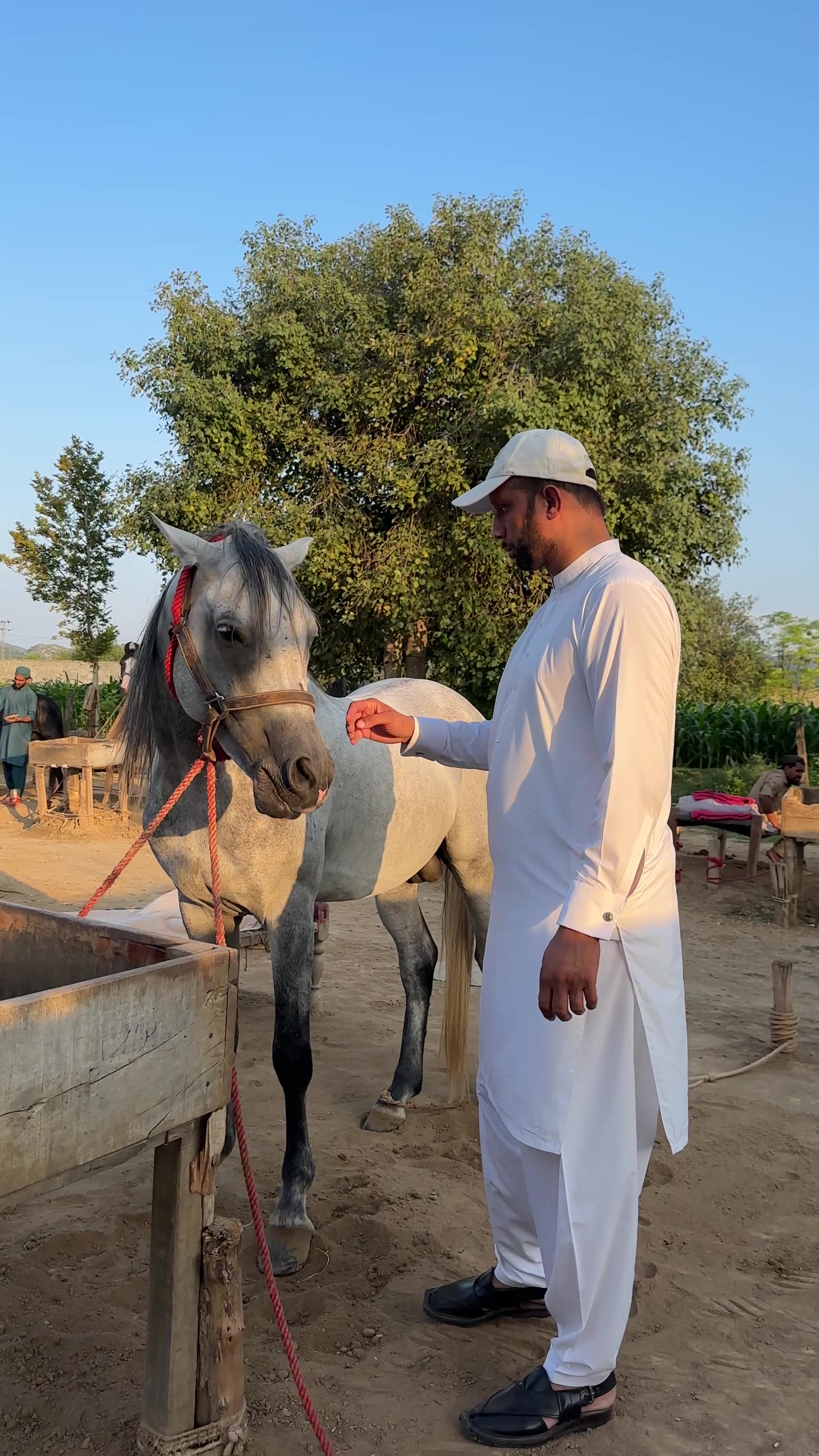 @Muhammad Safdar Ali Sultan