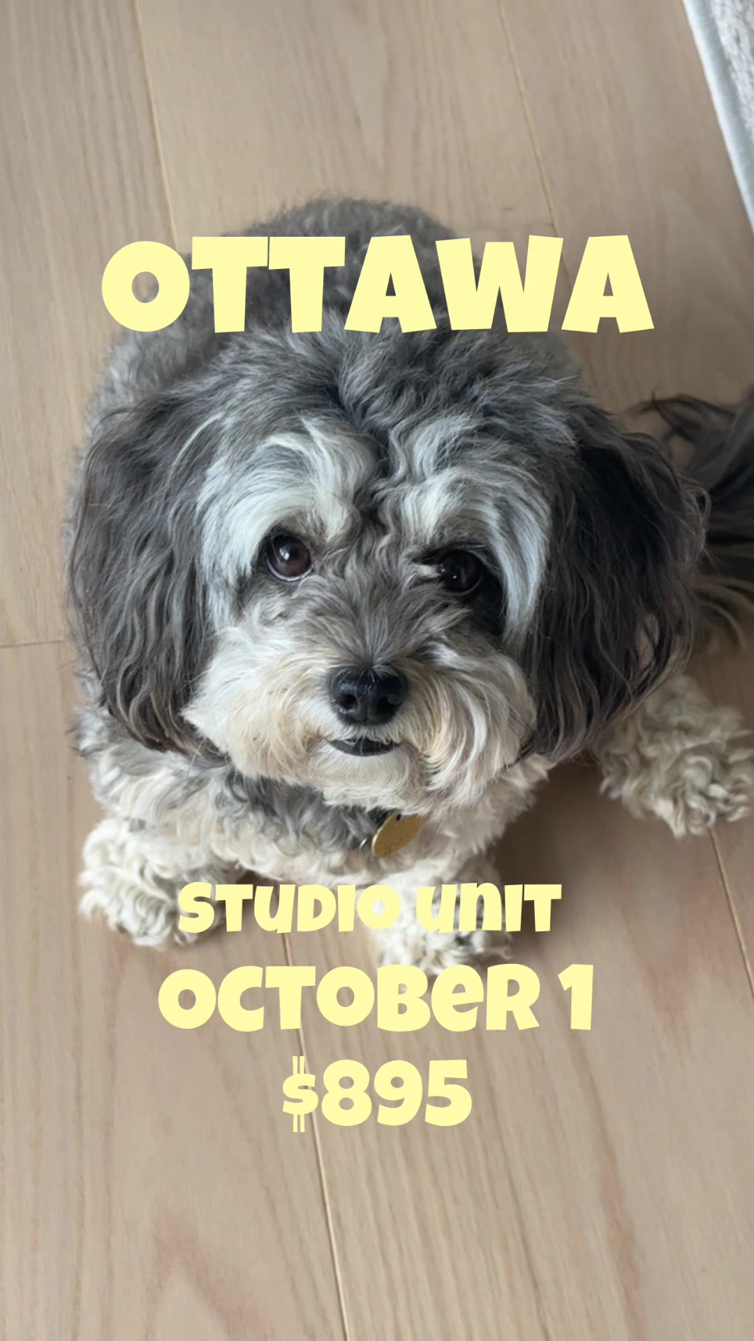 @🏡✨RENTALS IN OTTAWA