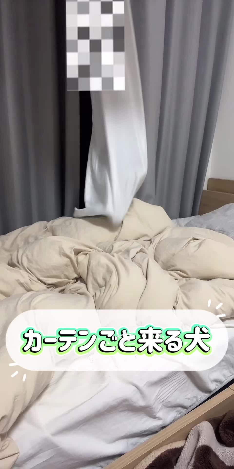 @たたしゃん⚾️🩵
