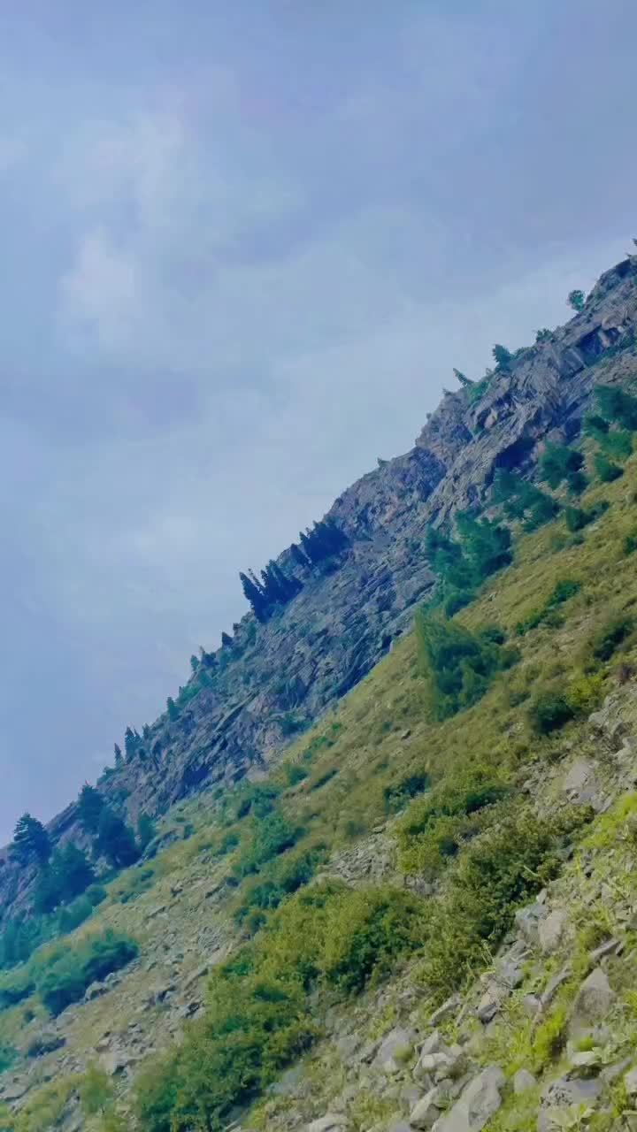 @Mr Chauhan 🔥✅