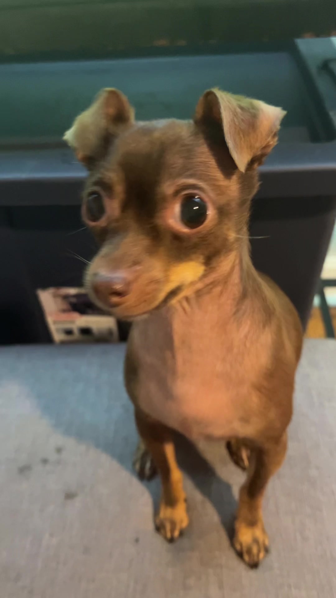 @Iceyvc