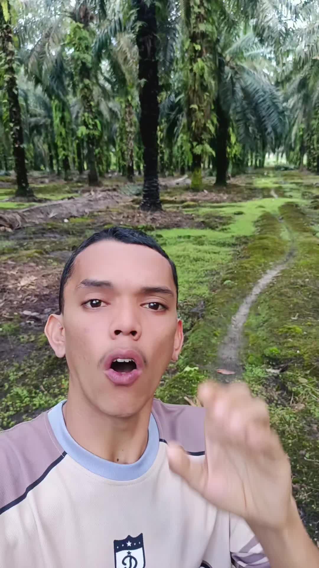 @EL