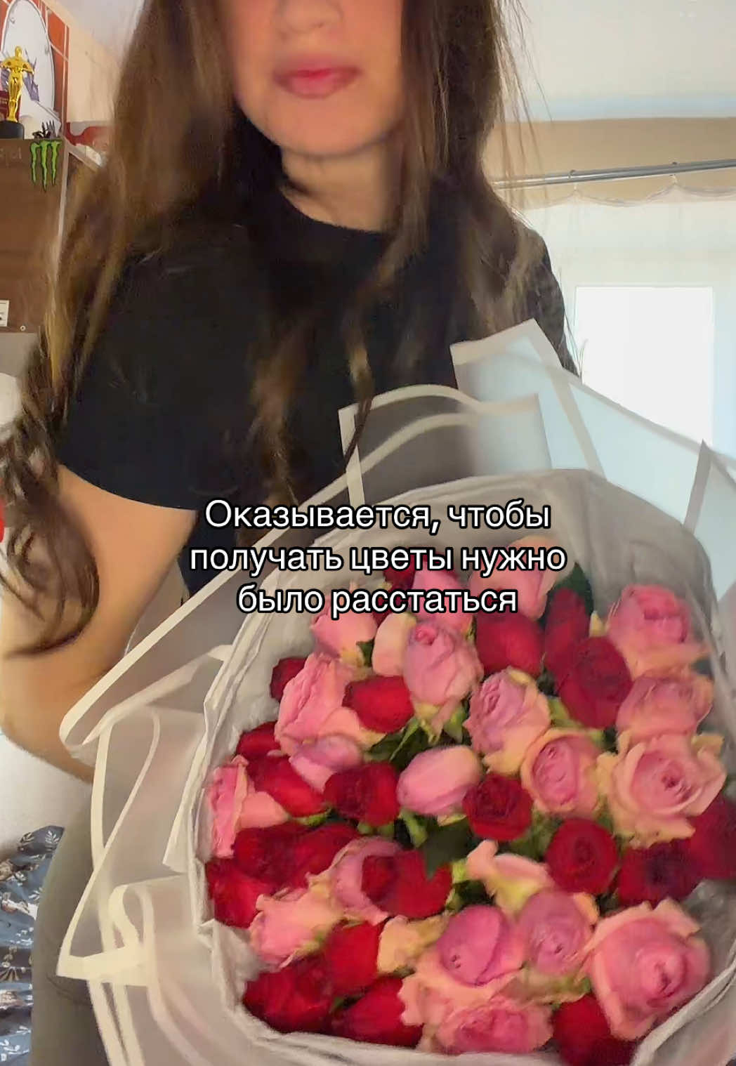 @Таисия🦁