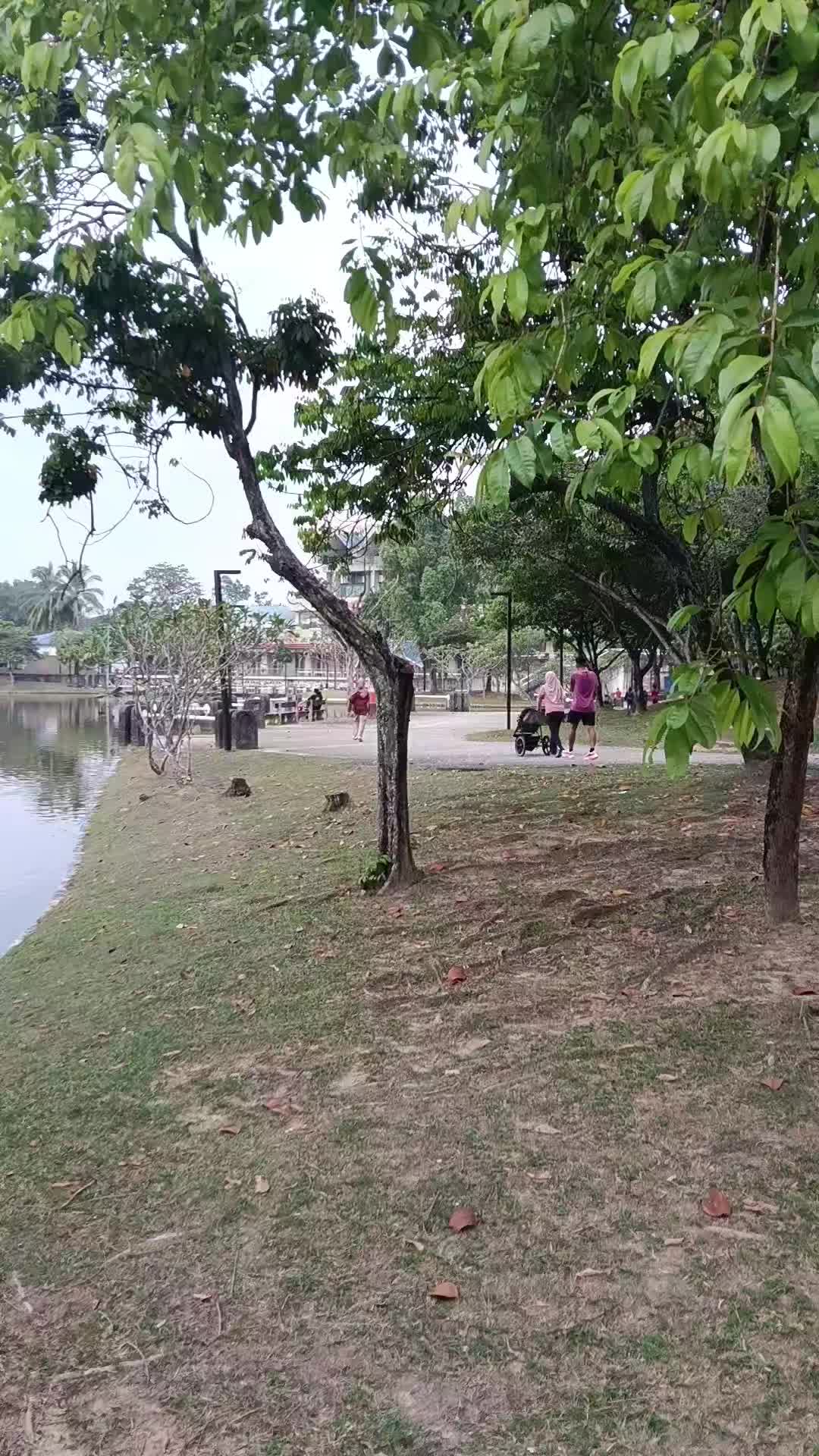 @hanihashim