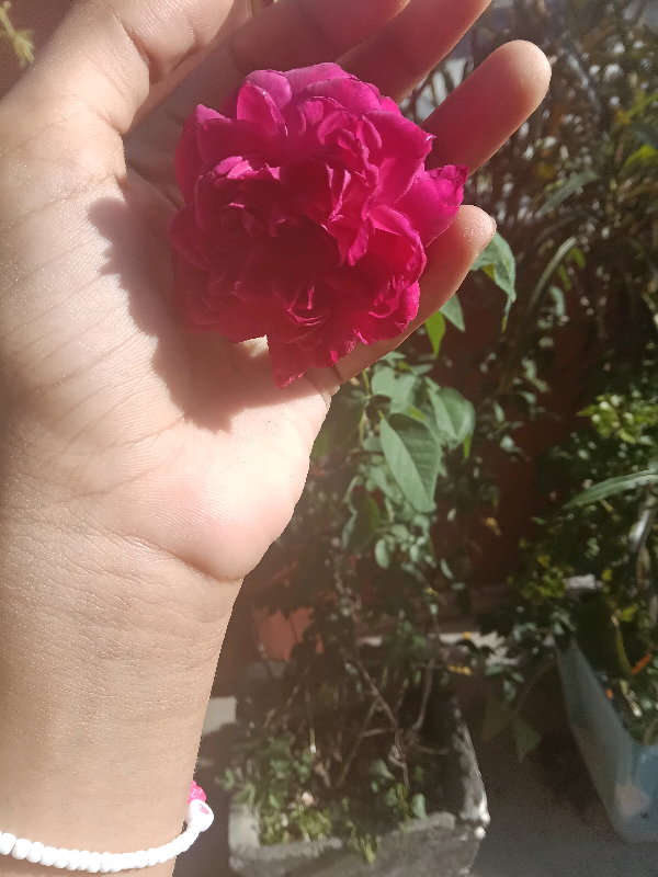 @princess🤍