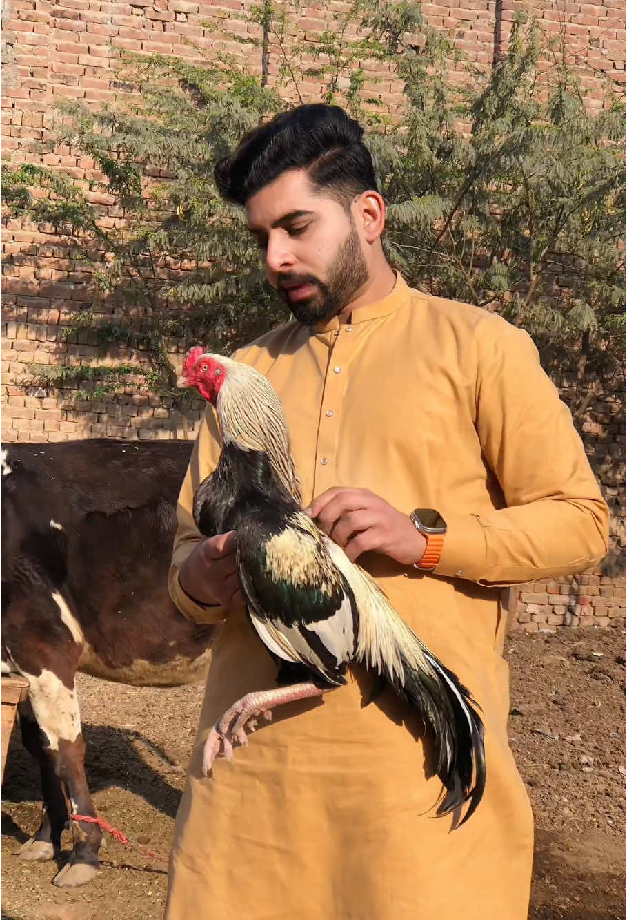 @𝐌𝐮𝐛𝐞𝐞𝐧 𝐓𝐚𝐫𝐢𝐪