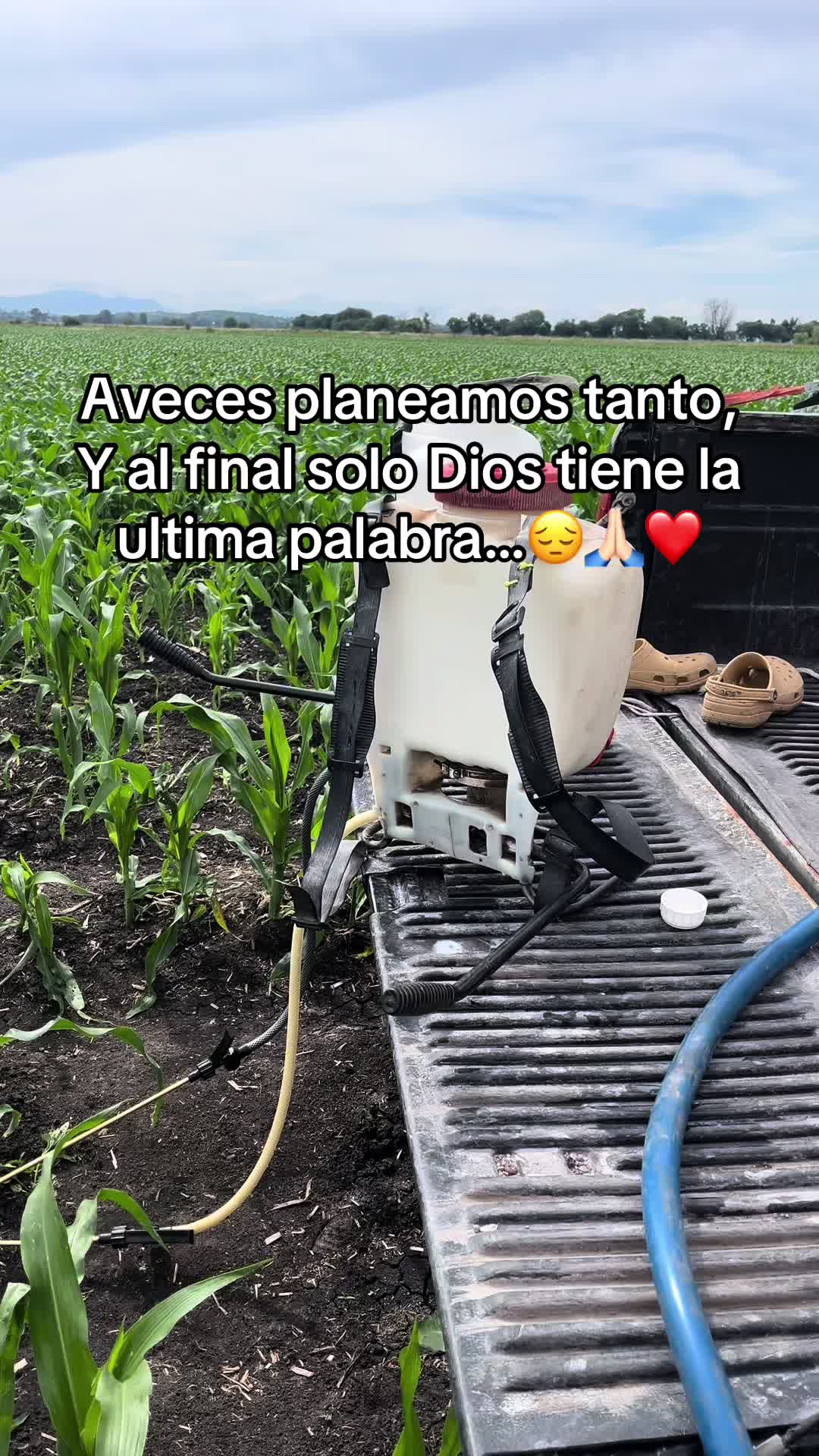 @Yeselin Cervantes