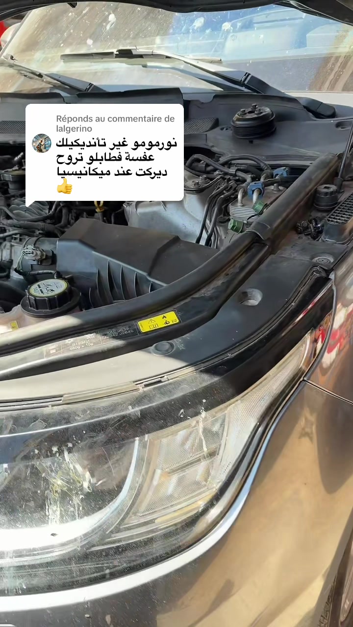 @toutou rangerover