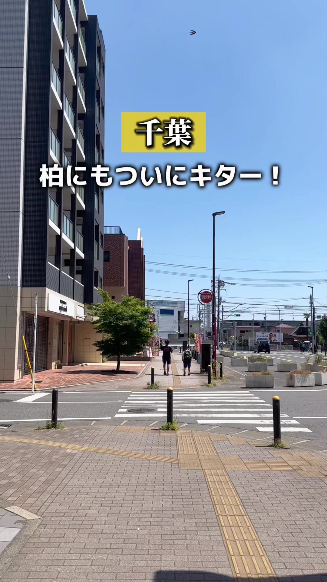 @こんち