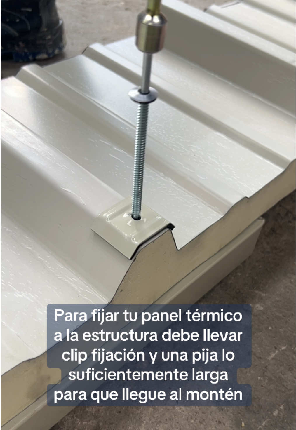 @PolicasaQro