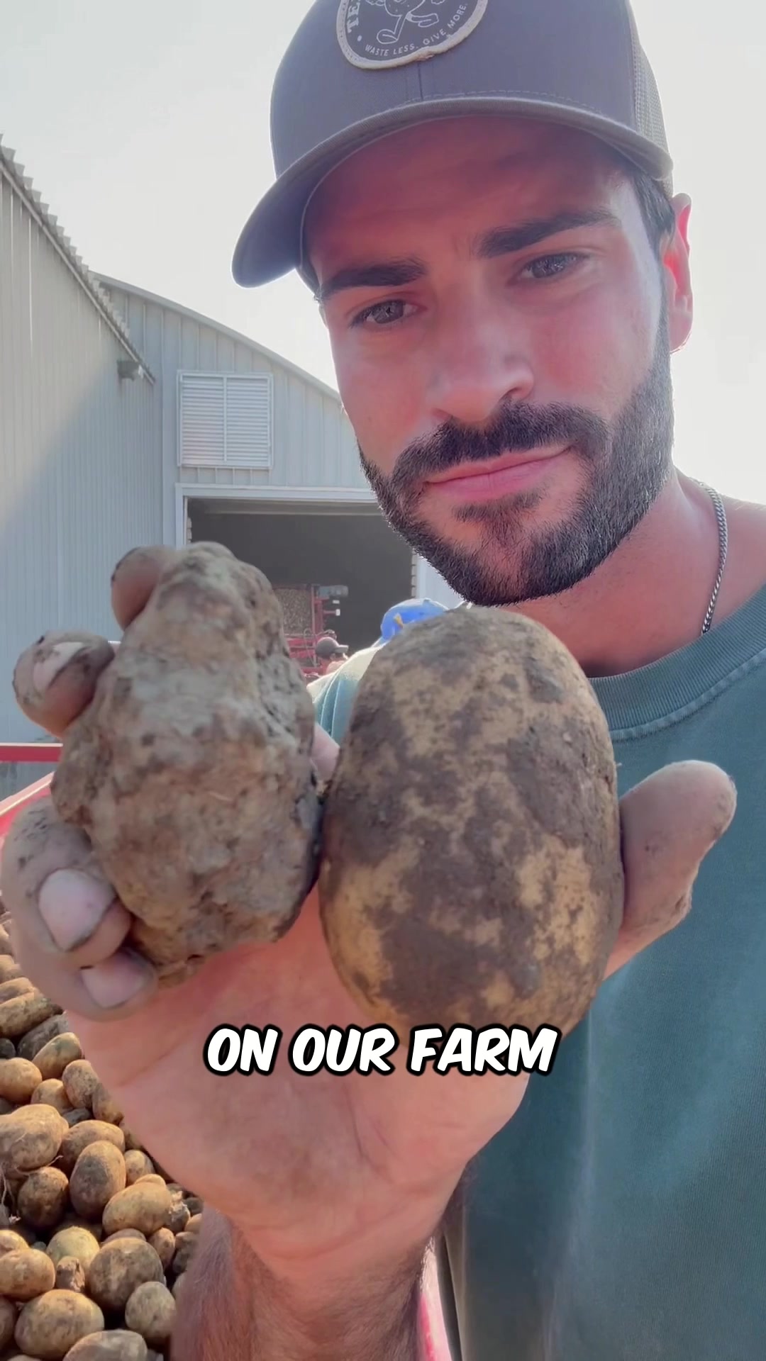 @Potato Ty