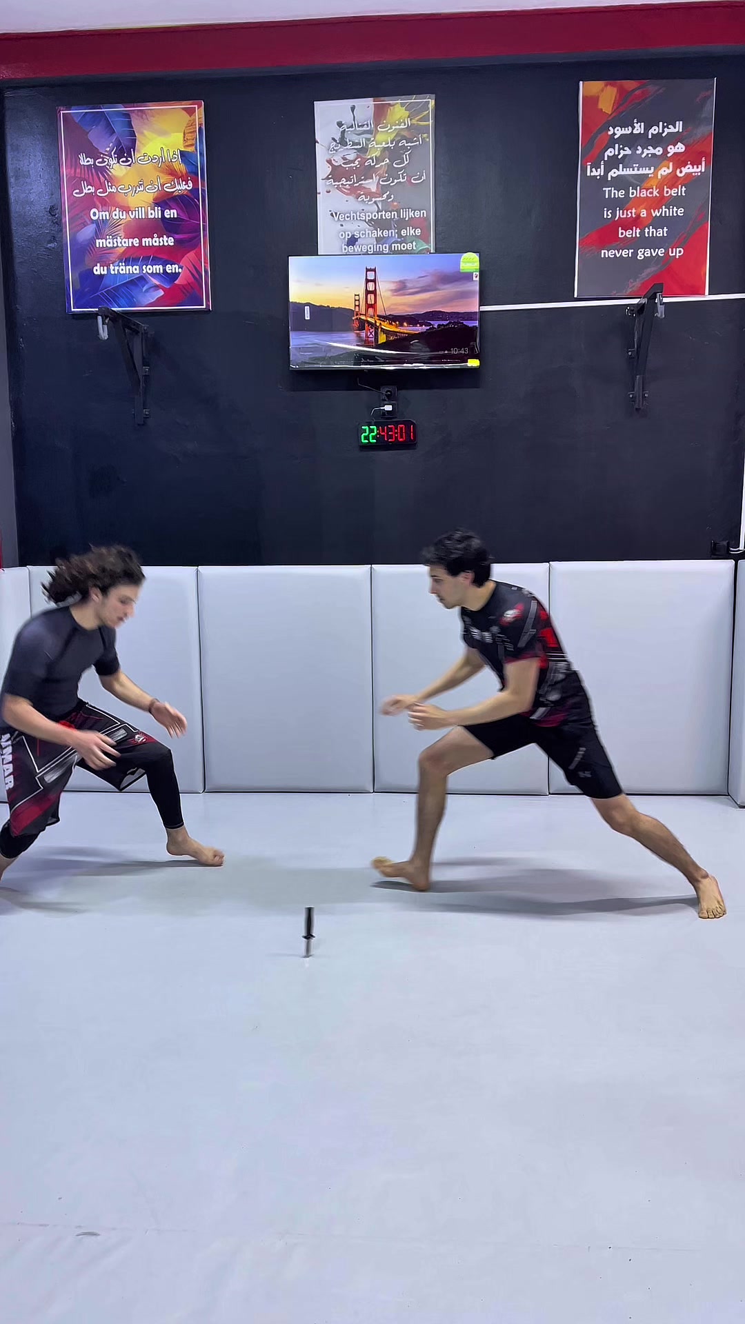 @daimar.academy