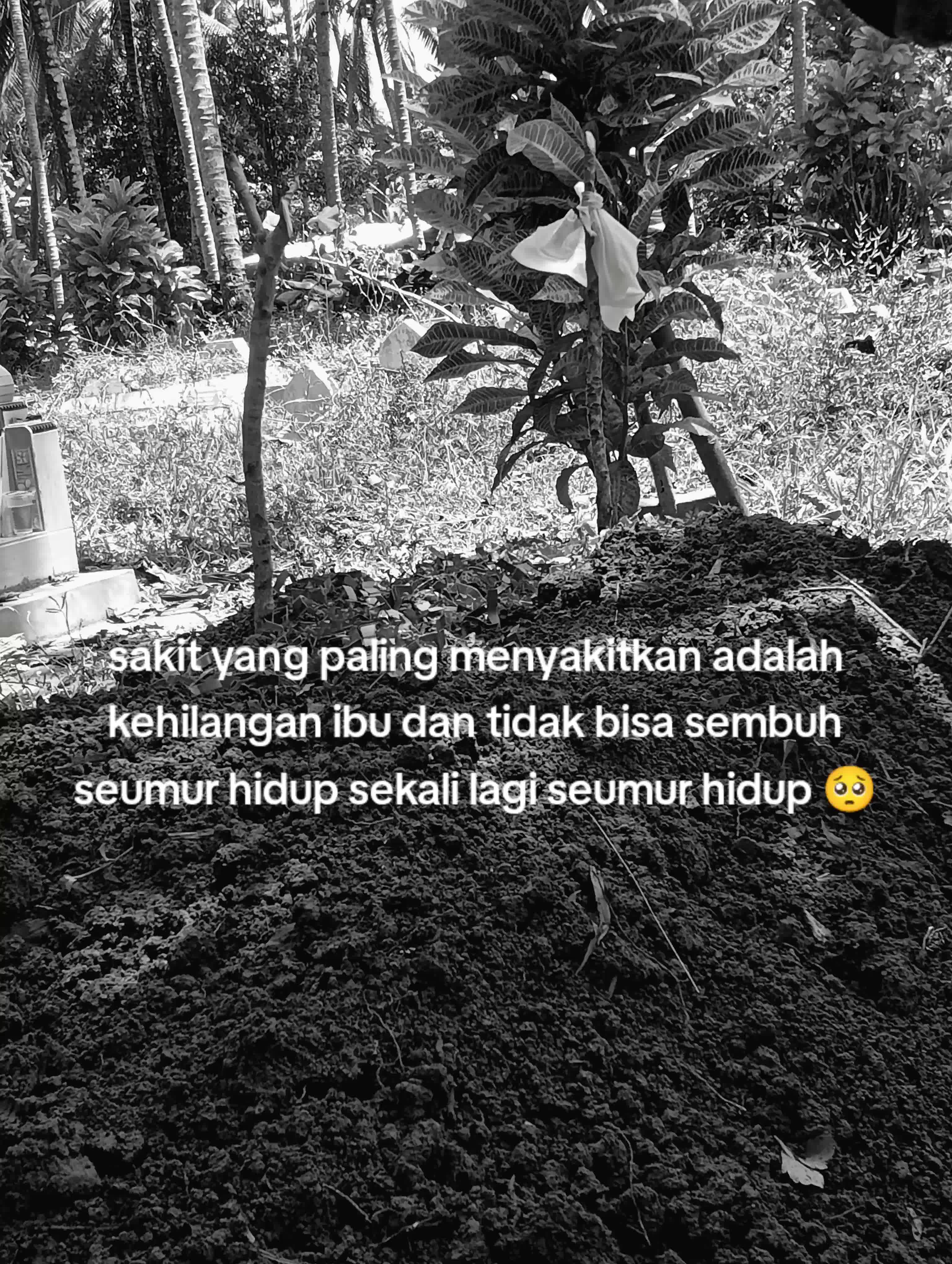 @Arhy🔥