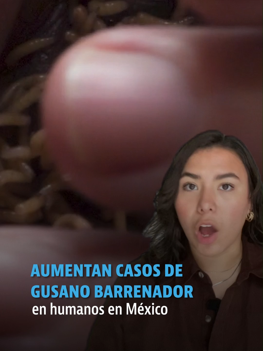 @elheraldodemexico