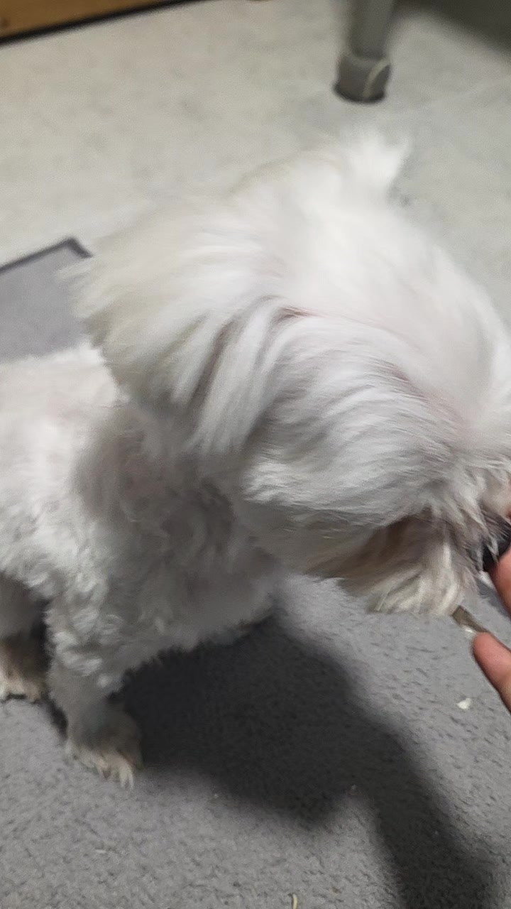 @๐ฐ๋๐ขnya